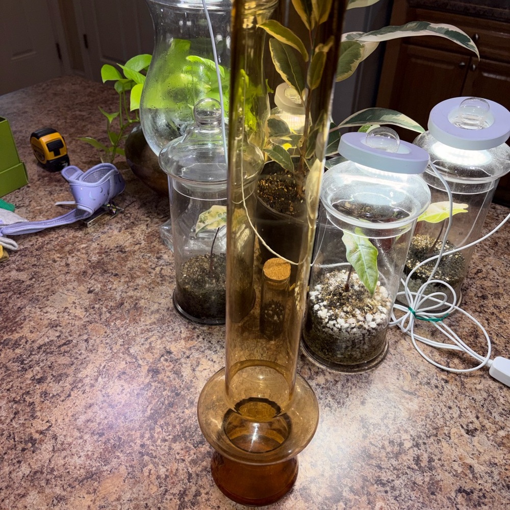 Tall Amber Vintage Glass Bud Vase - Sleek Cylinder